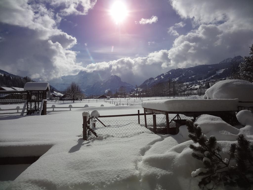 Hotel Simmenhof Lenk Esterno foto